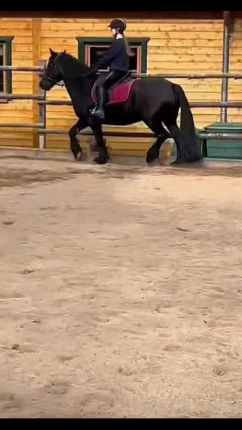 @𝘍𝘪𝘯𝘫𝘢 🪐