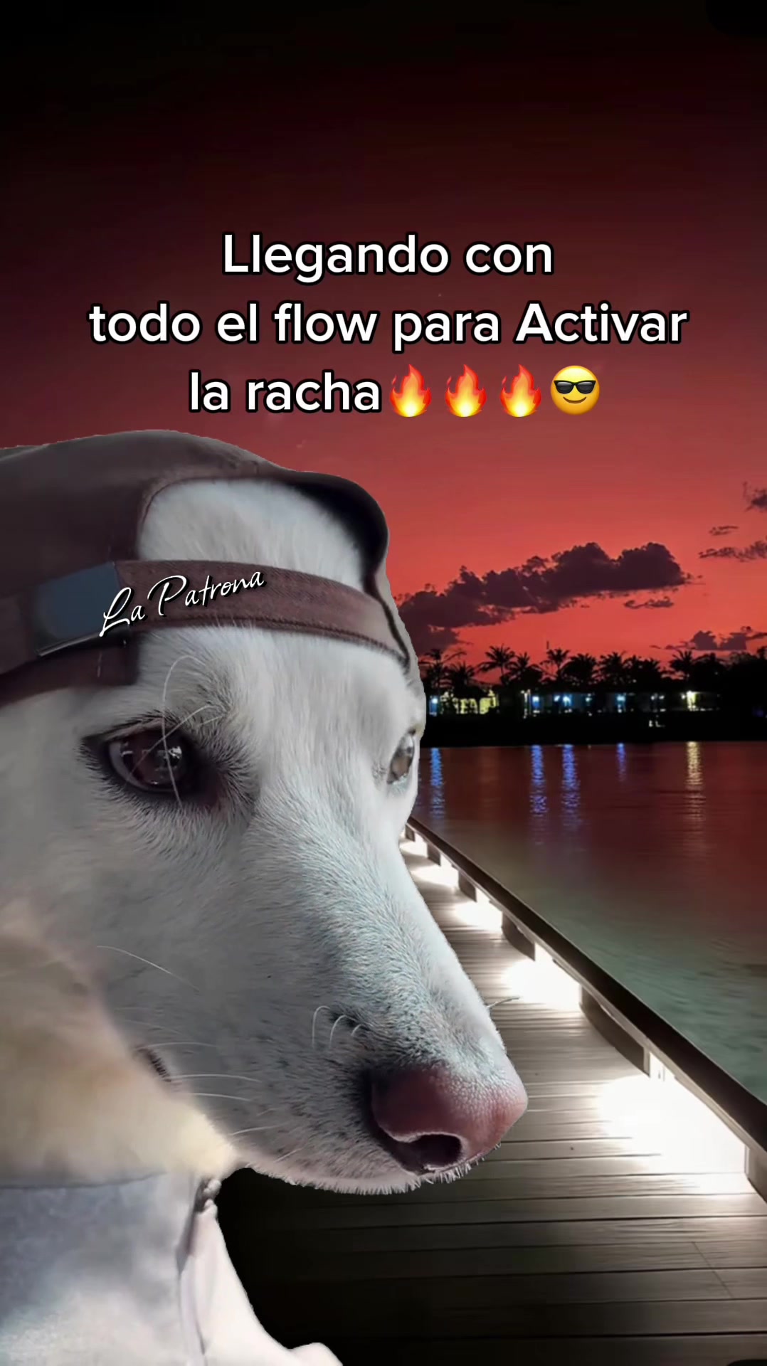 @𝕃𝕒 𝕡𝕒𝕥𝕣𝕠𝕟𝕒❤️🔥🐣🦅