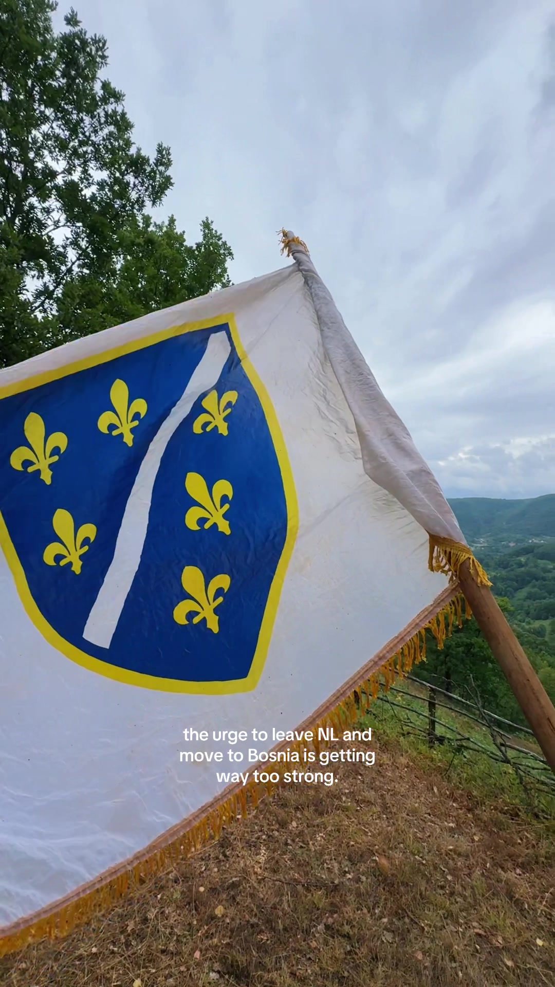 @Hamdija Murtić🇧🇦