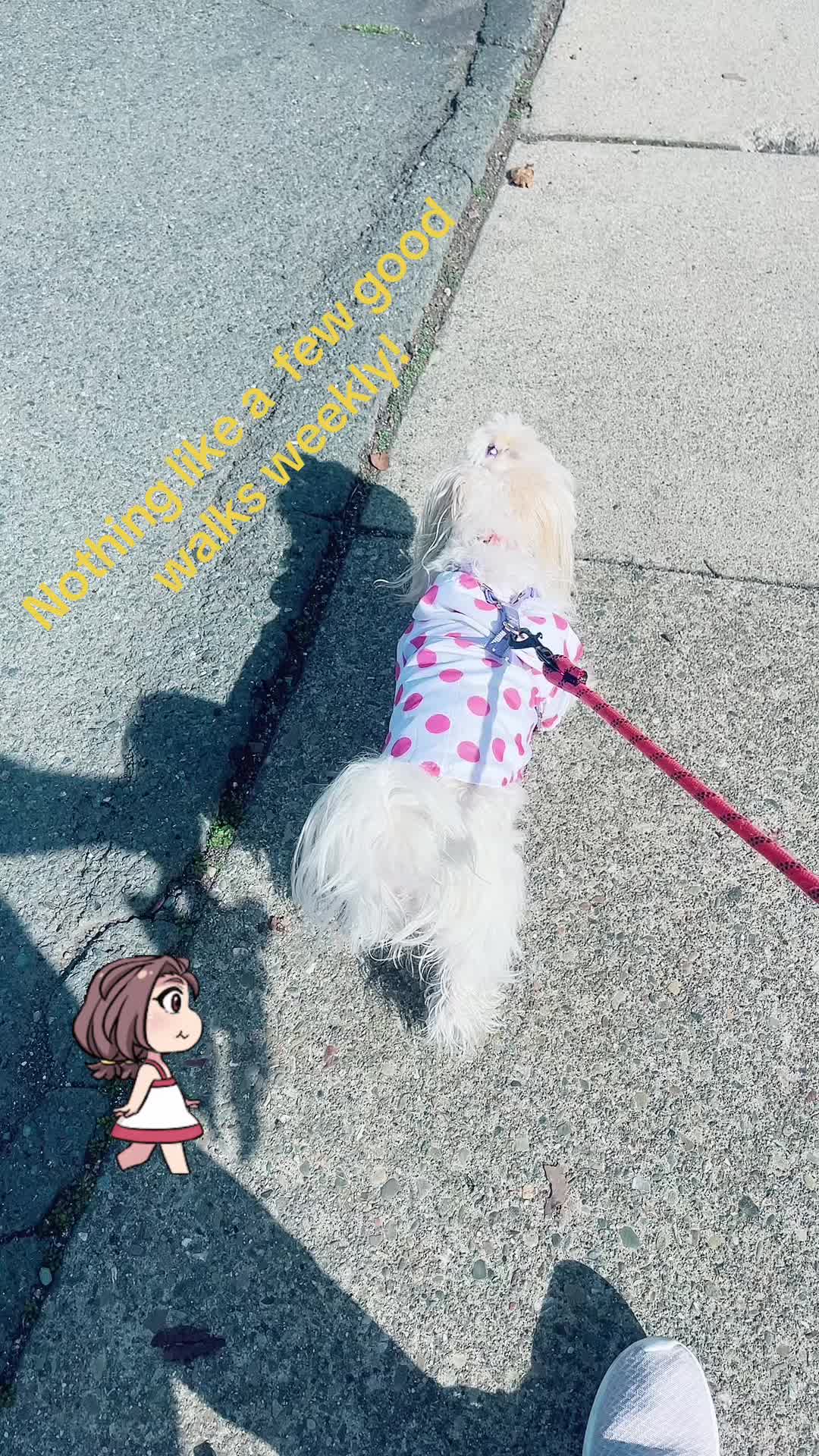 @danawarner645 Aka Polka Dots!