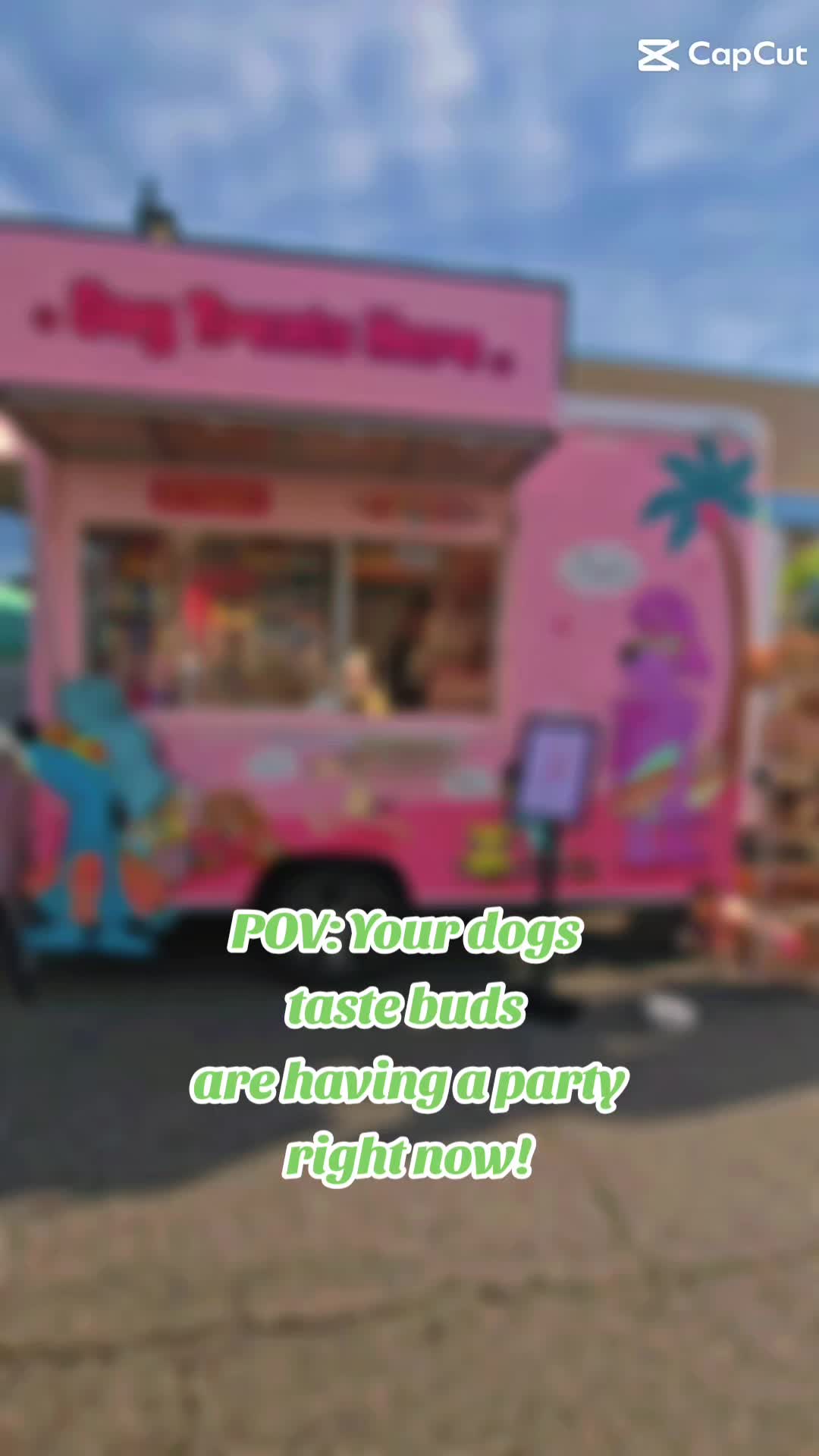 @Dappy Dayz Bark Boutique