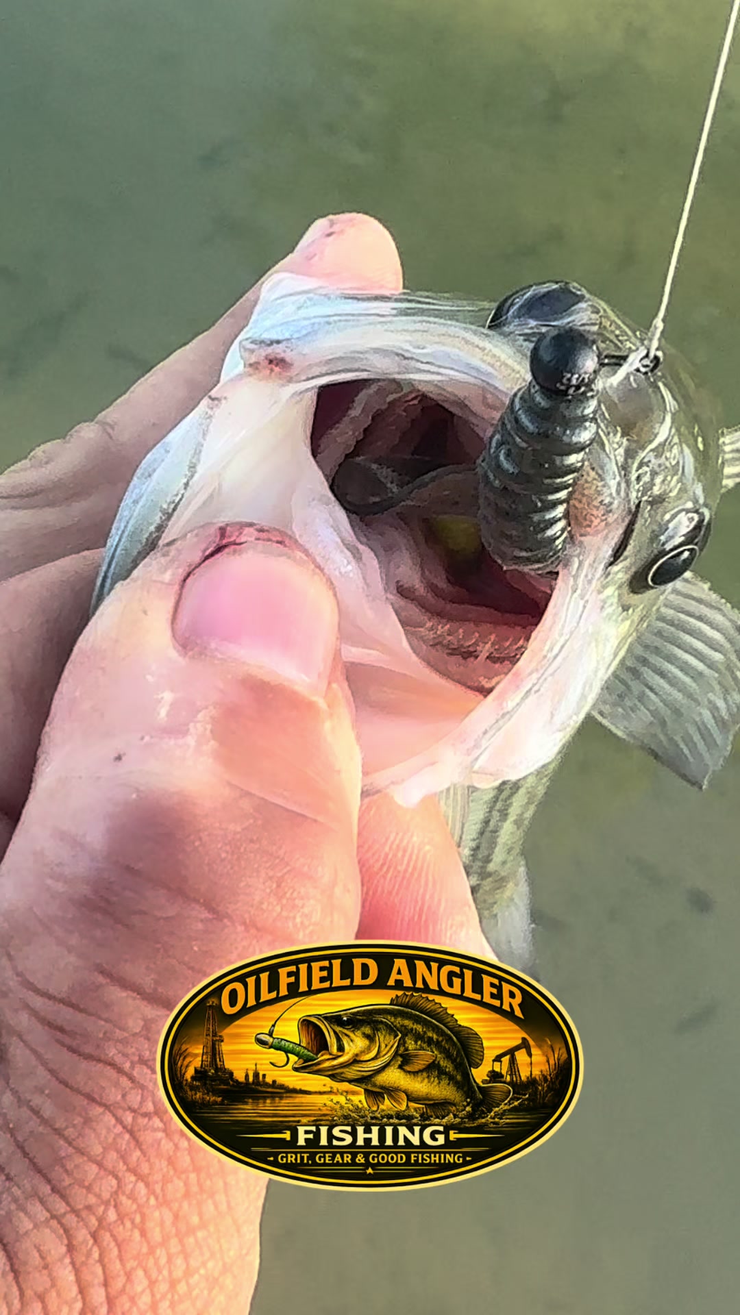 @Oilfield Angler Fishing