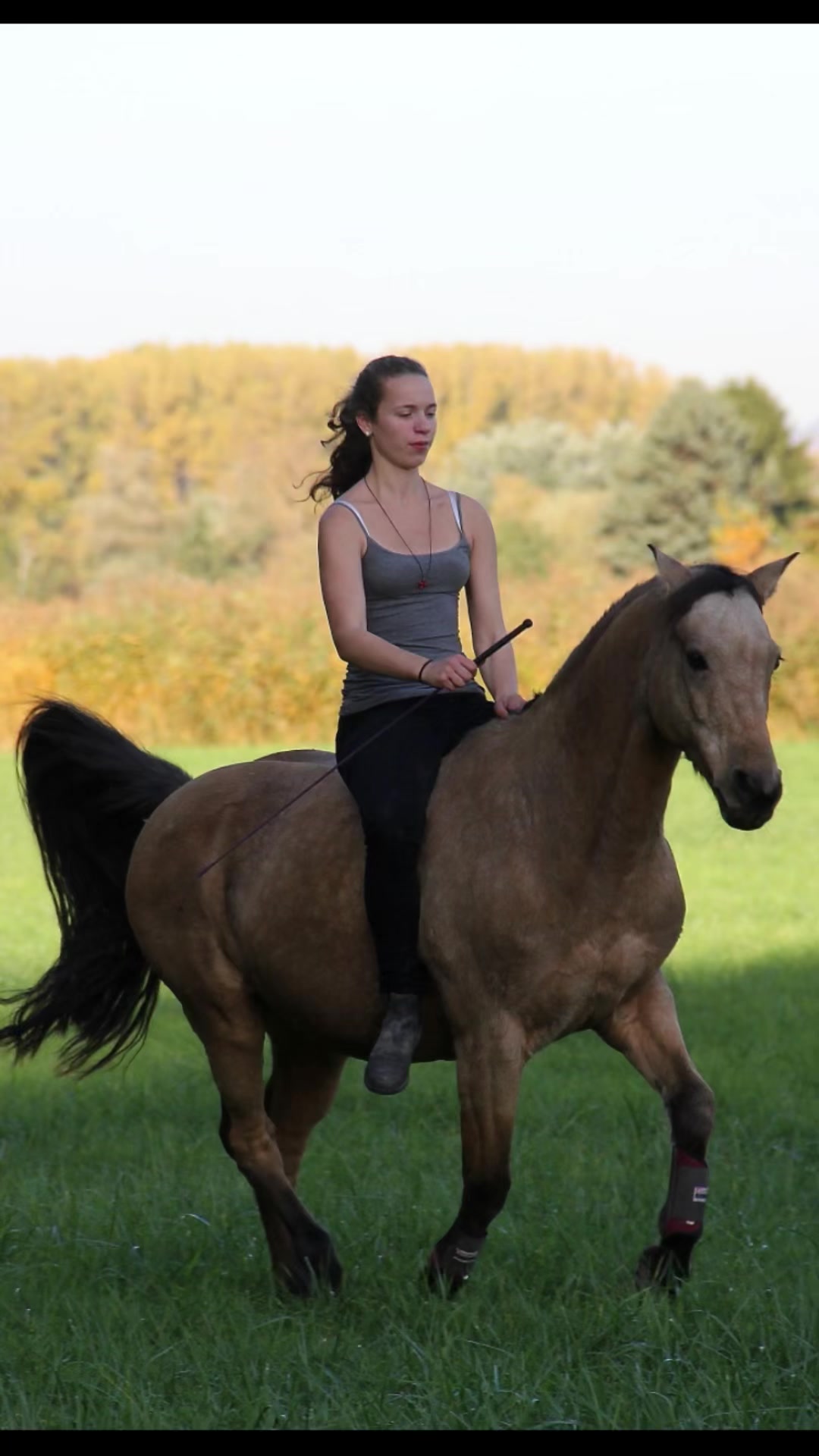 @Good Way Horses