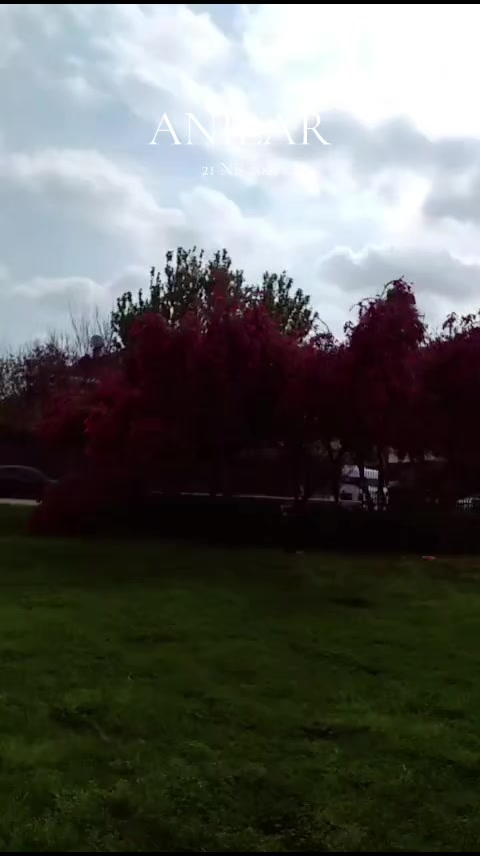 @Zeynep D&uuml;zdelen
