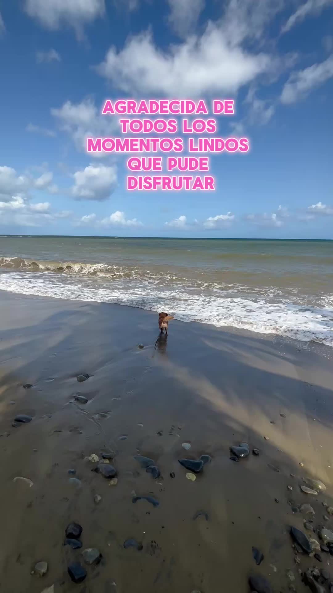 @LaIvette