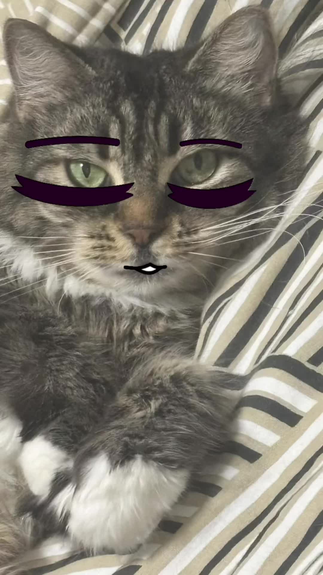 @๐๐๐๐๐๐๐ ๐ผ๐๐๐๐๐ฆ
