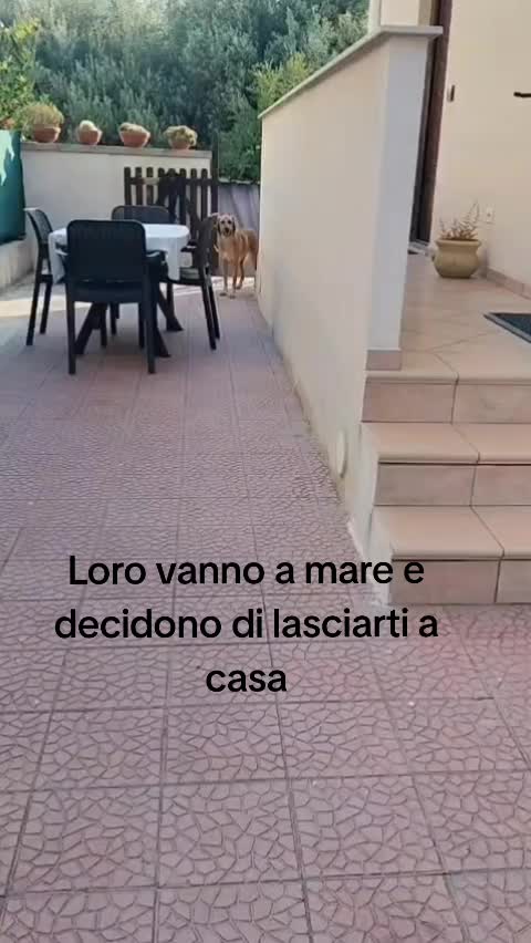 @Emanuele Pettineo