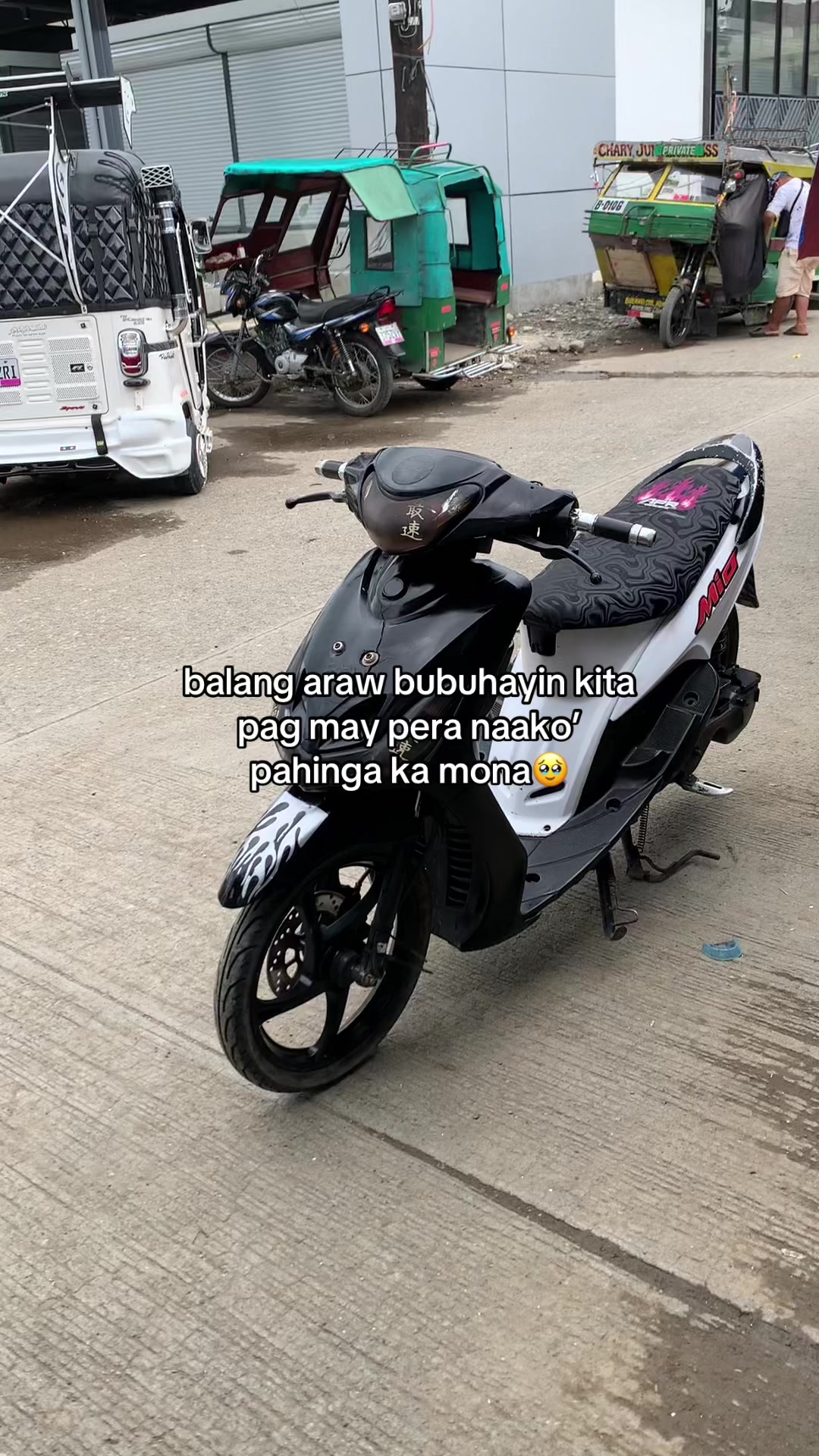 @~TANTAN~ 🇧🇷