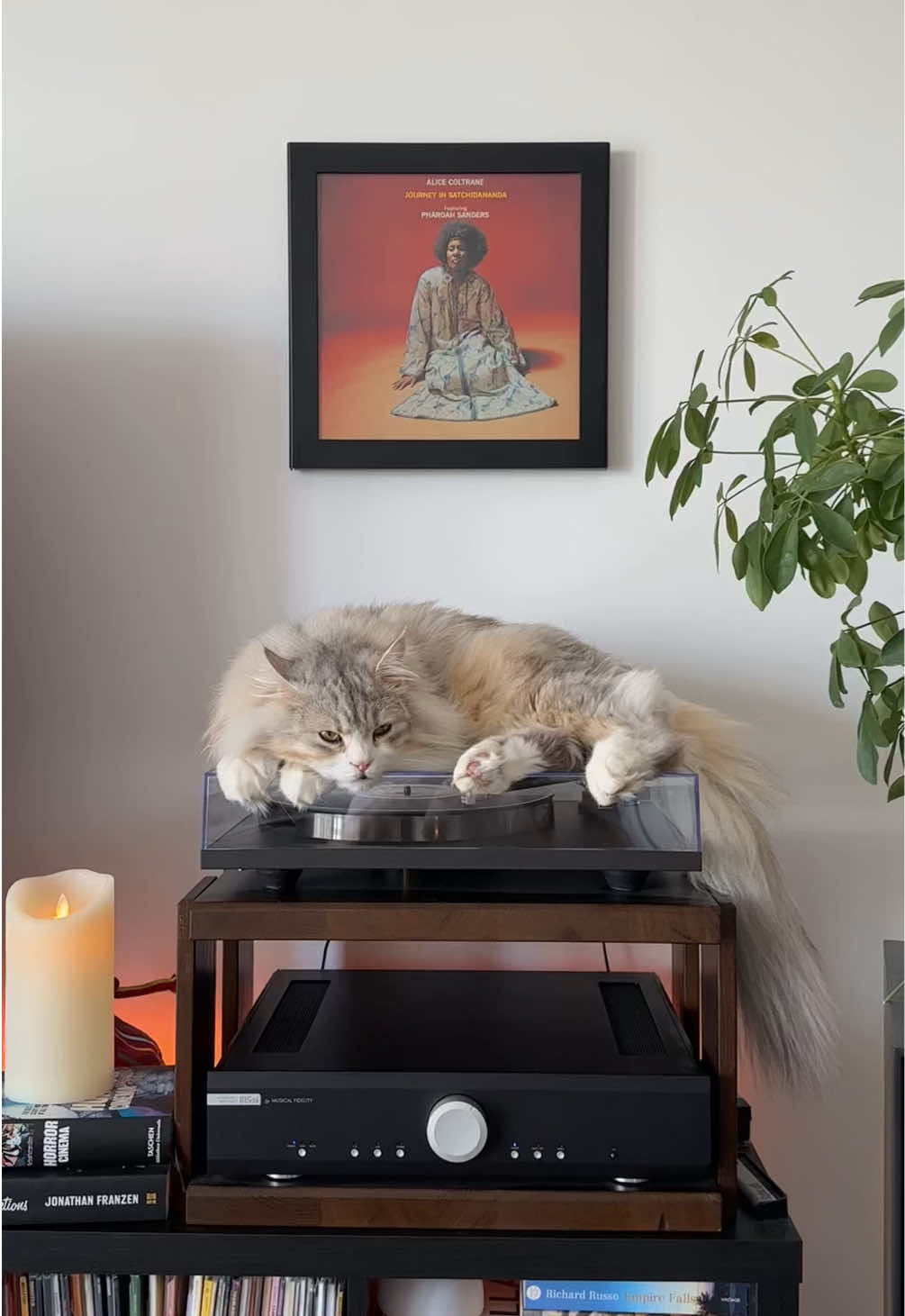 @Leon The Vinyl Cat