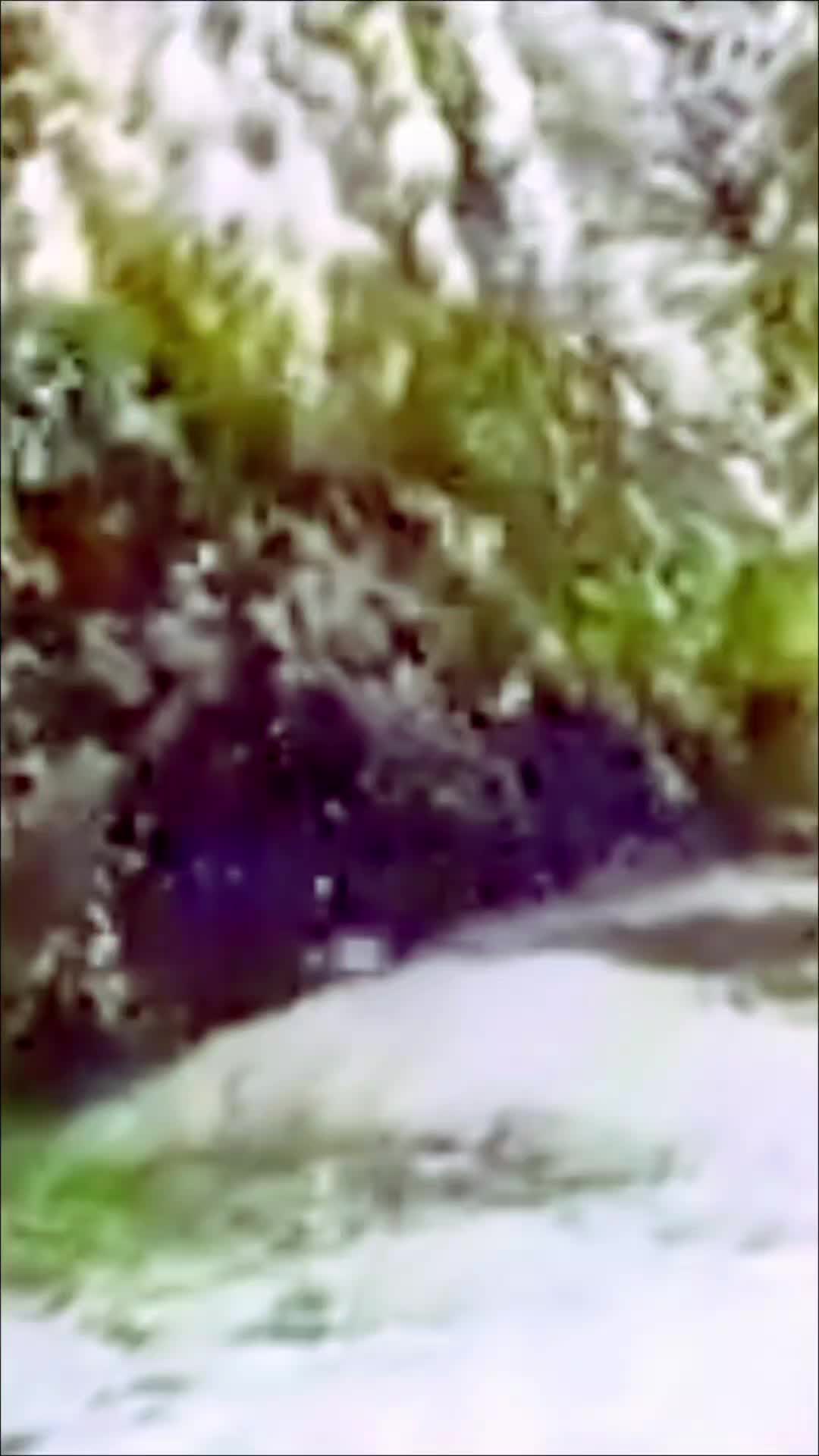 @Minir Sadiku Firajës