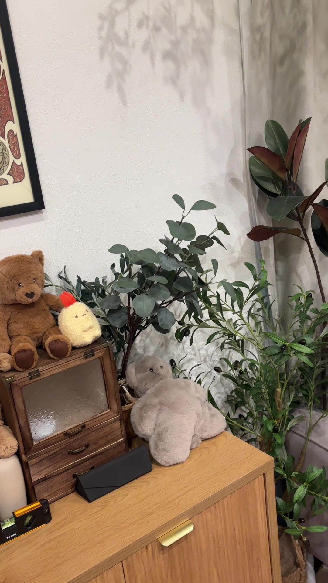@飼い主とネコたち