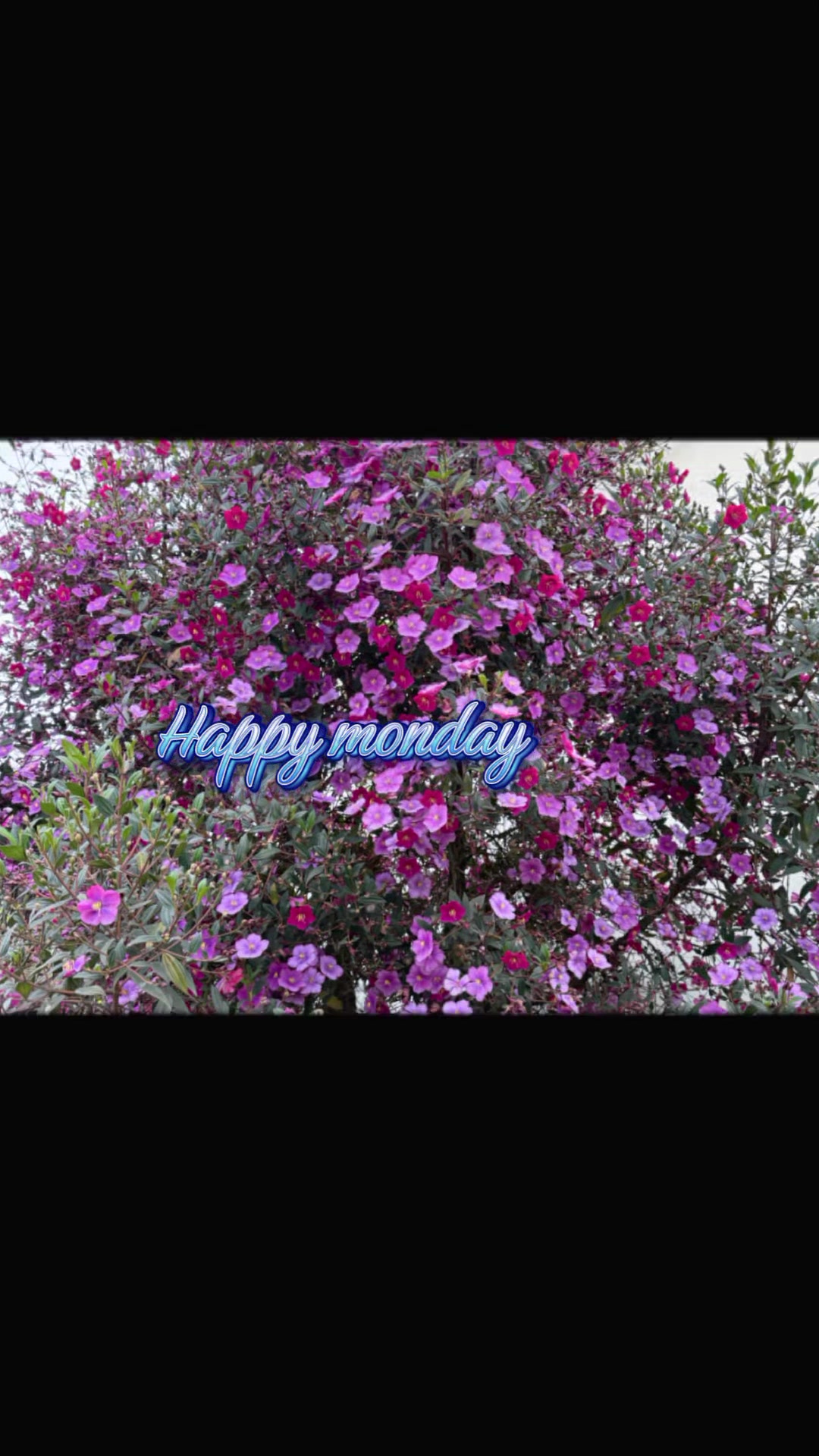 @A.Biela