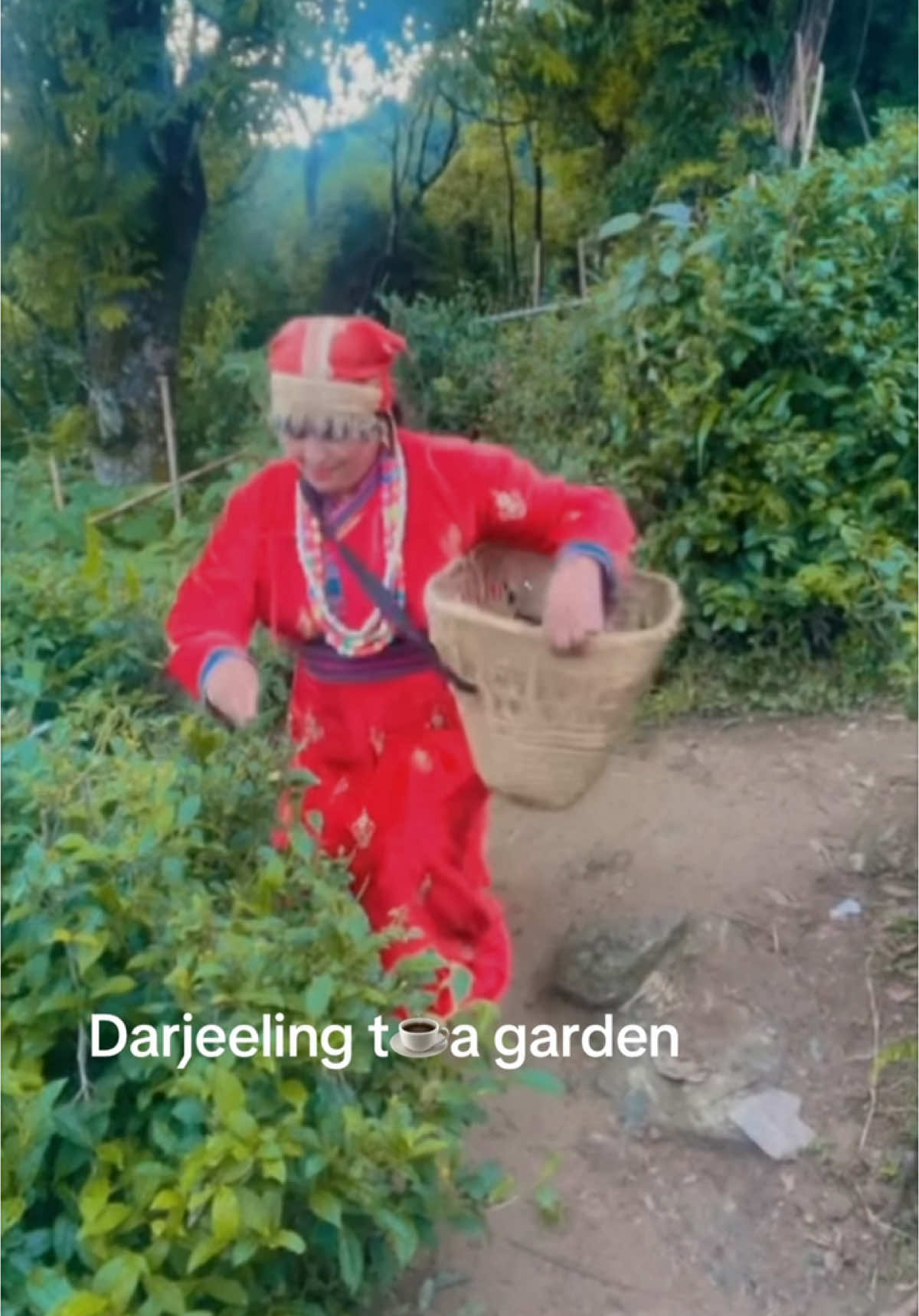 @kgurjeet3