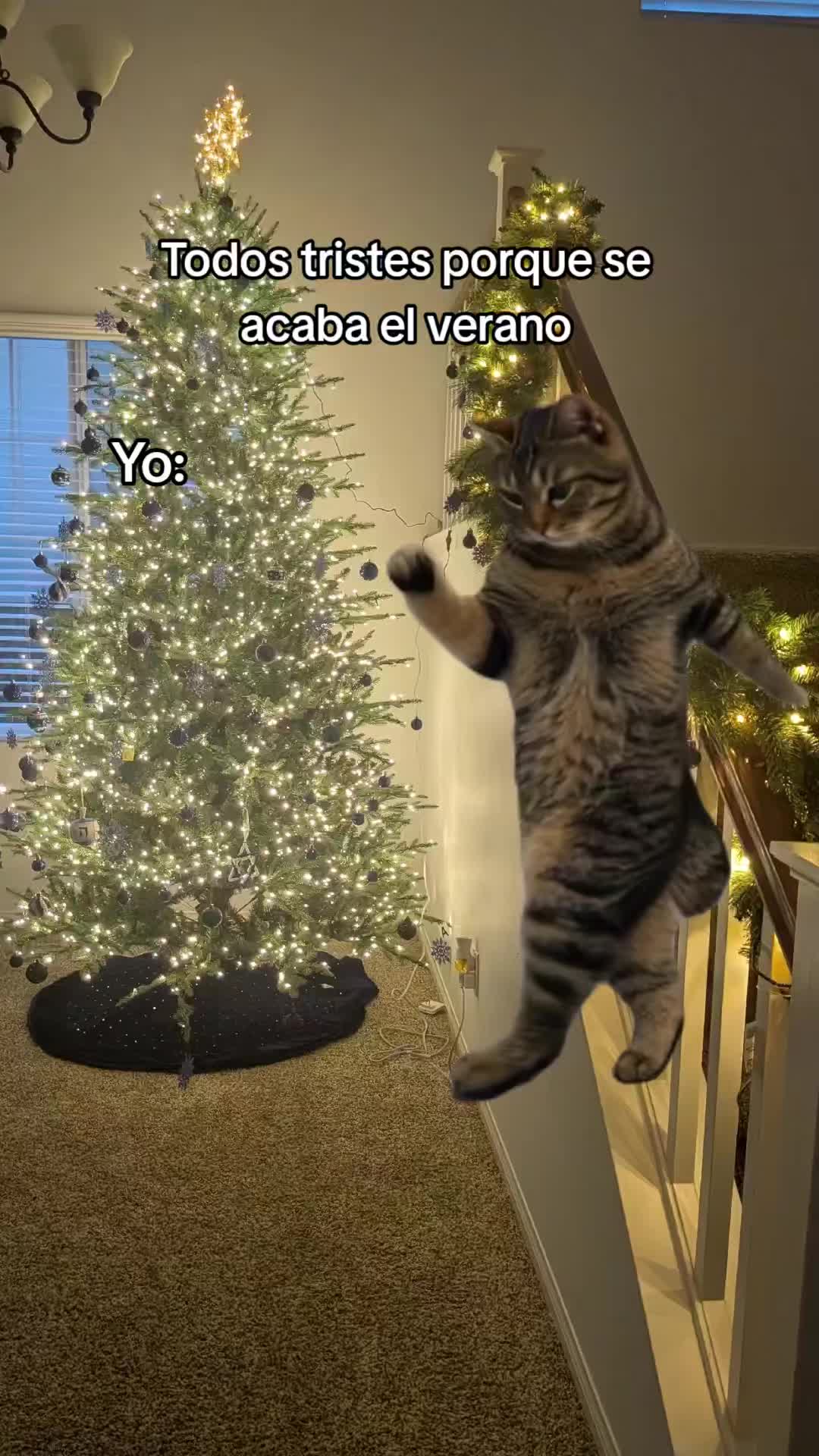 @Aleja 🇨🇴🇺🇸