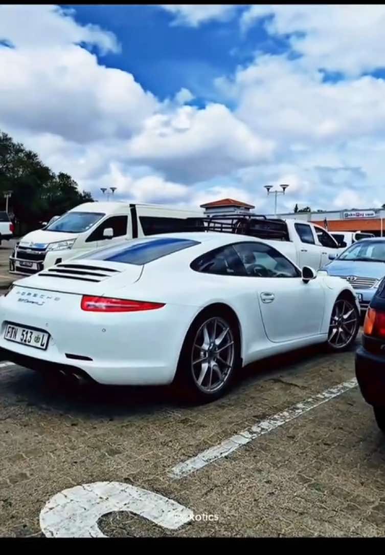 @PLK Exotics
