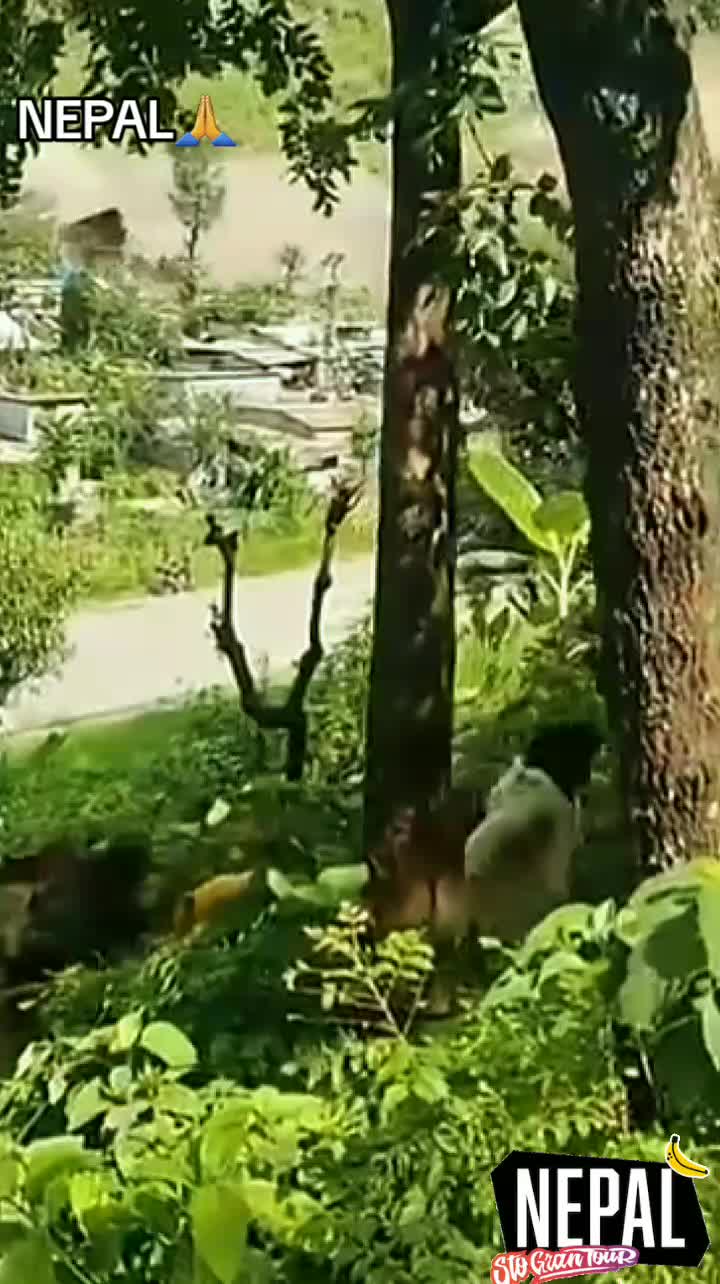 @𝗠𝗘𝗦𝗦𝗜 𝗗𝗔𝗡𝗜𝗘𝗟