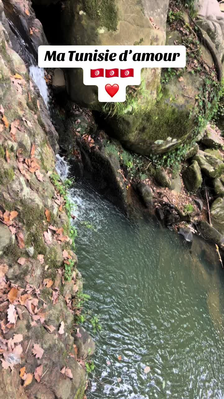 @khaoulalitta7