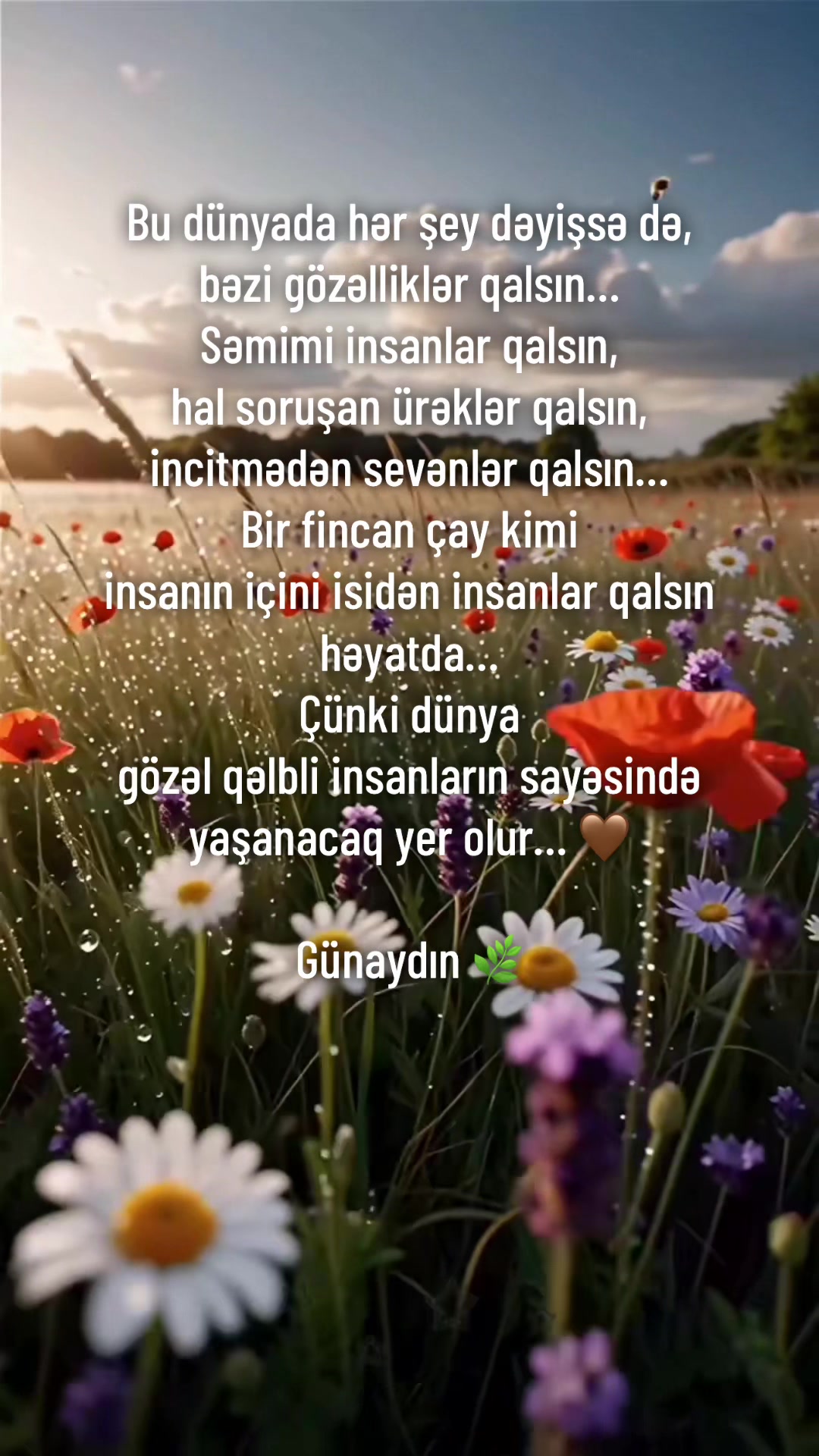 @Menalı Sozler