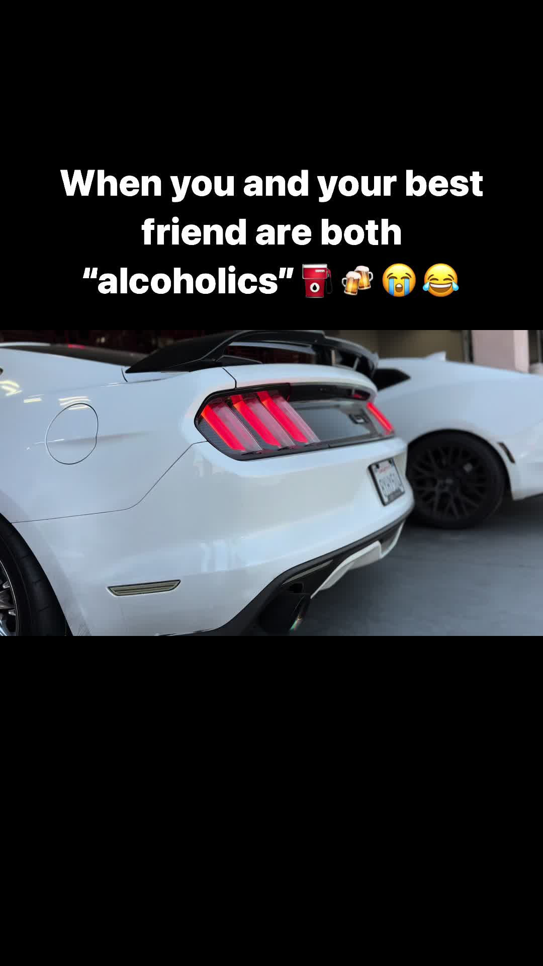@thepplstransportation