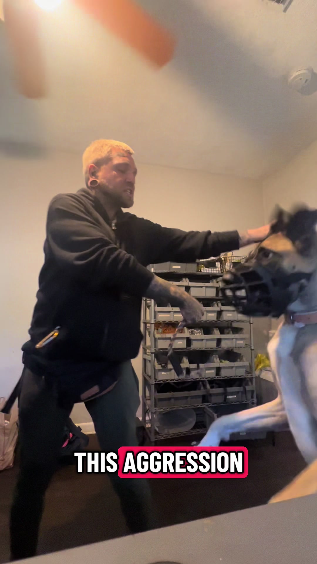 @balancedcanineacademy