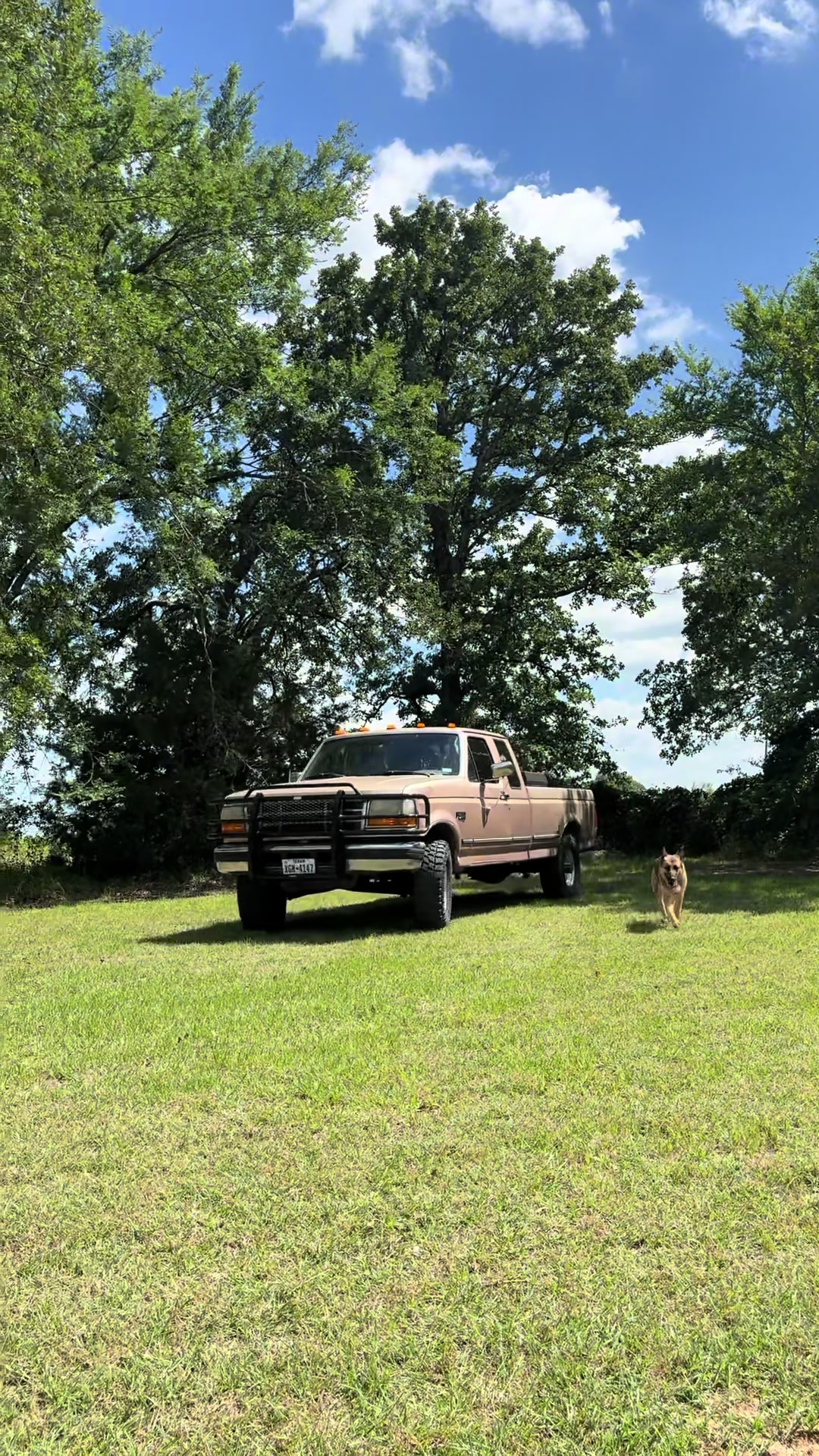@That_bronze.obs