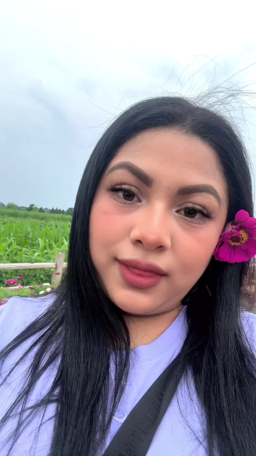 @🌺🌸🌹NES🌹🌸🌺