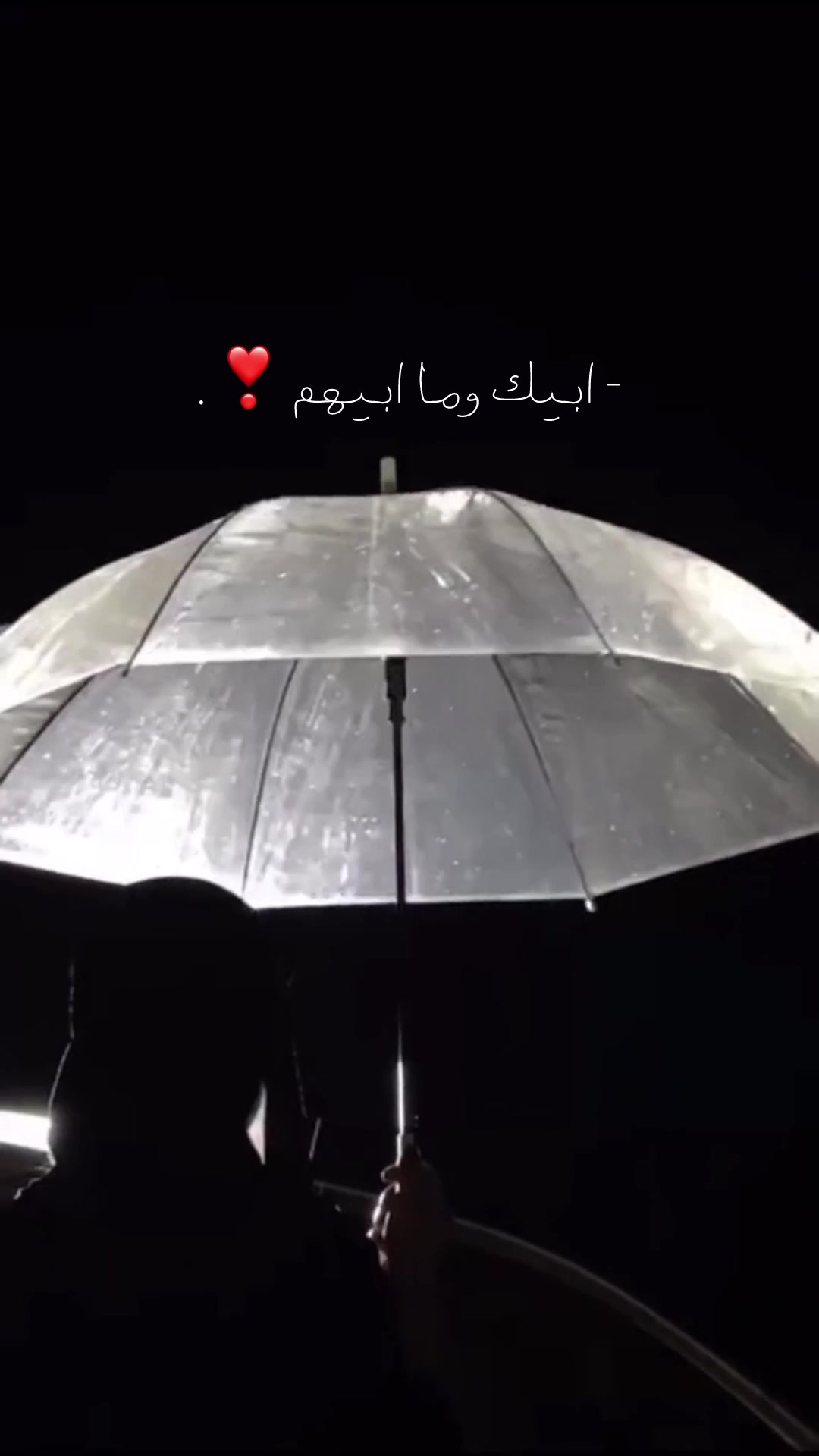 @A M | 🌷.