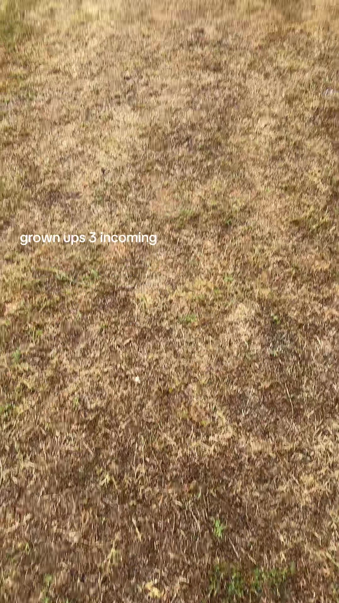 @𝒎𝒂𝒊𝒄𝒆𝒆