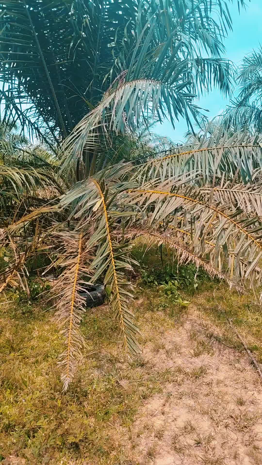 @RaFeightz