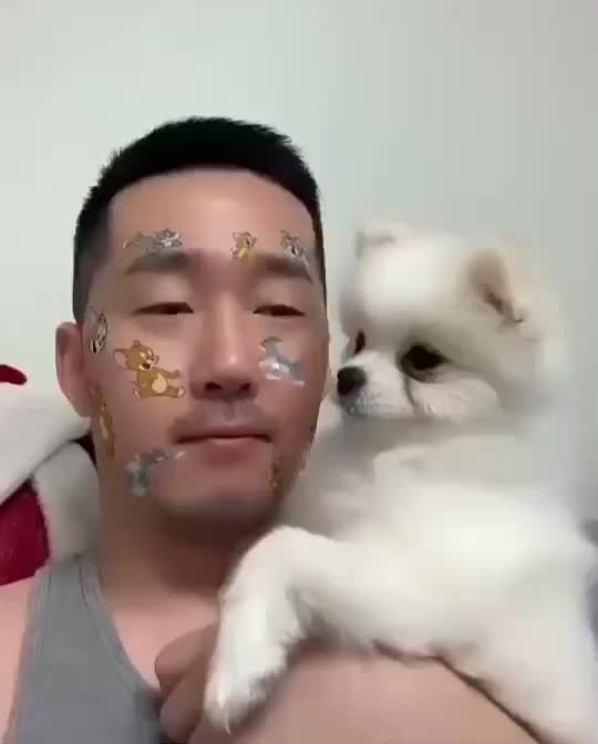 @張德偉