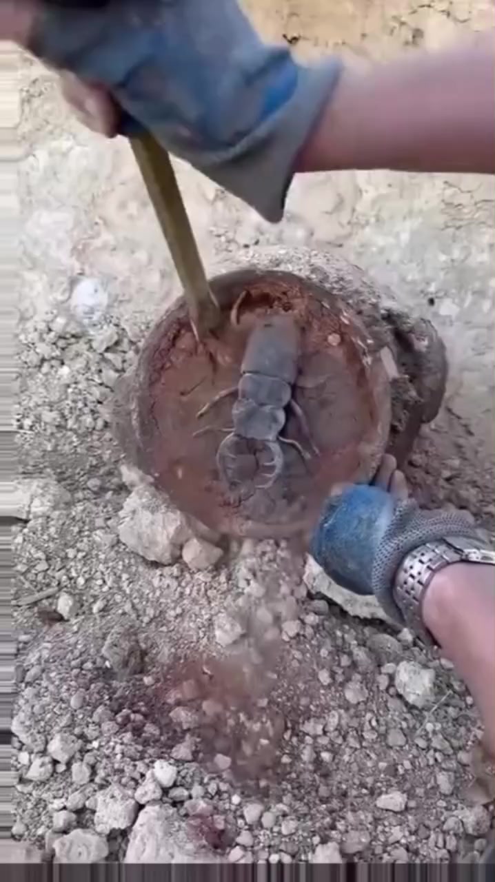 @muziri