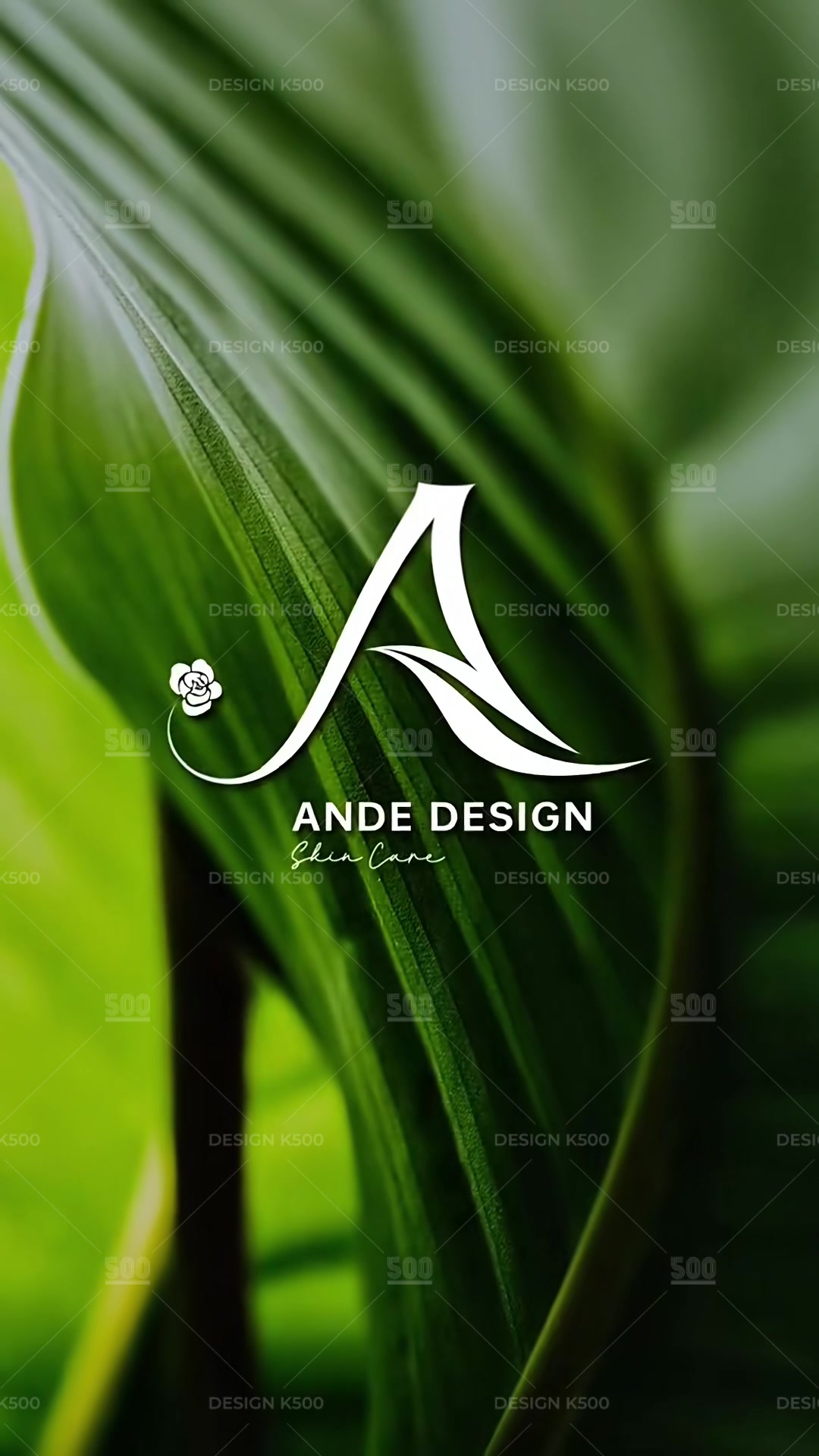 @DESIGN K500 - LOGO THEO T&Ecirc;N