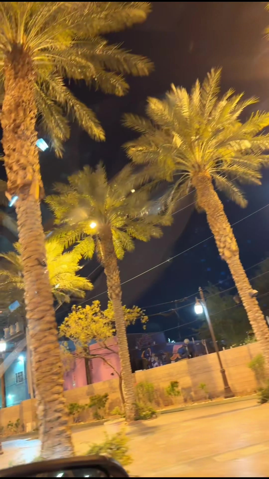 @Fatmaprincess🕊️