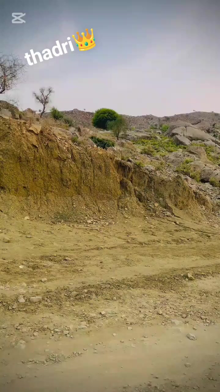 @ammir marri