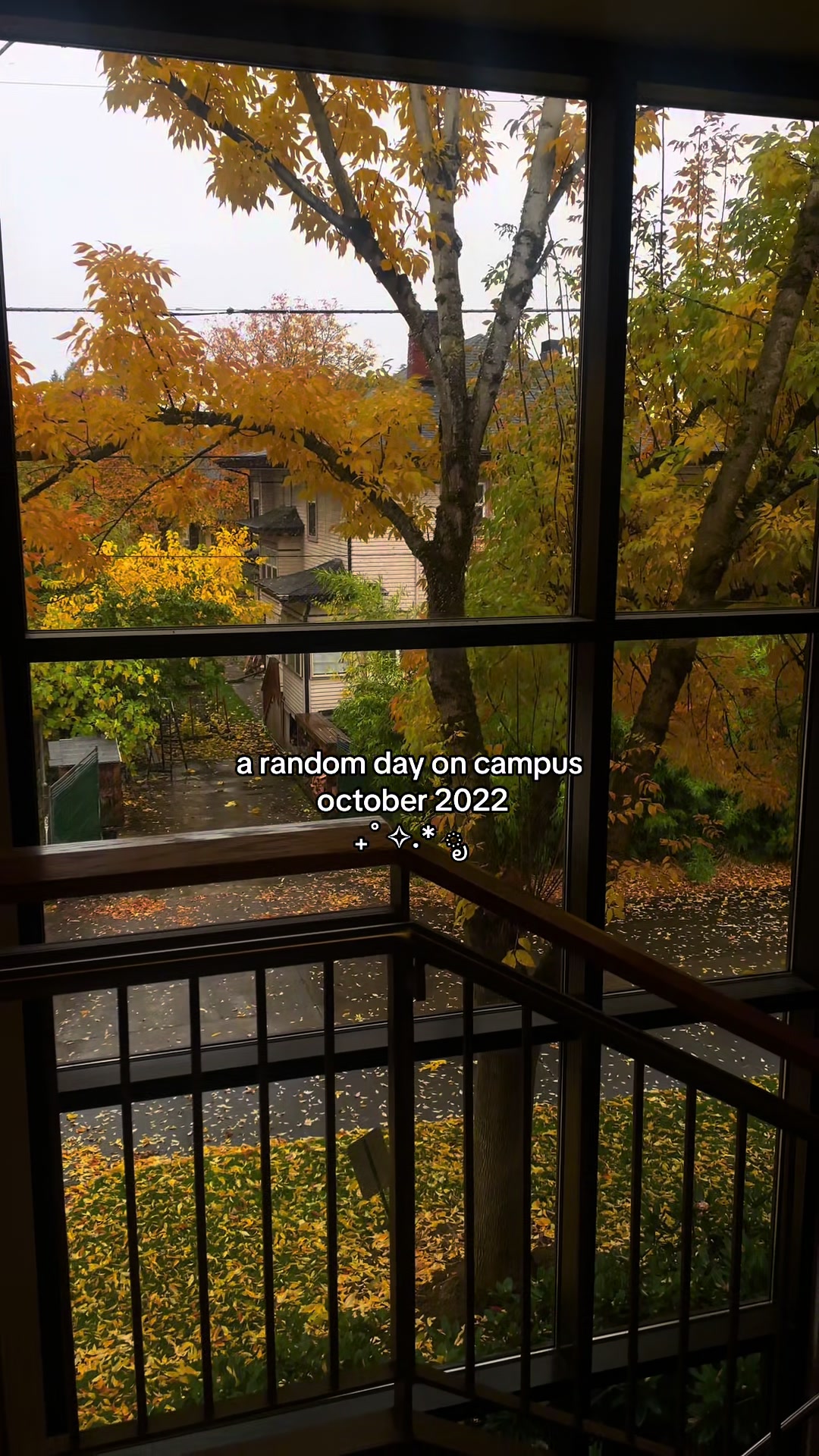 @･ﾟsteph🍂💌˚⋆