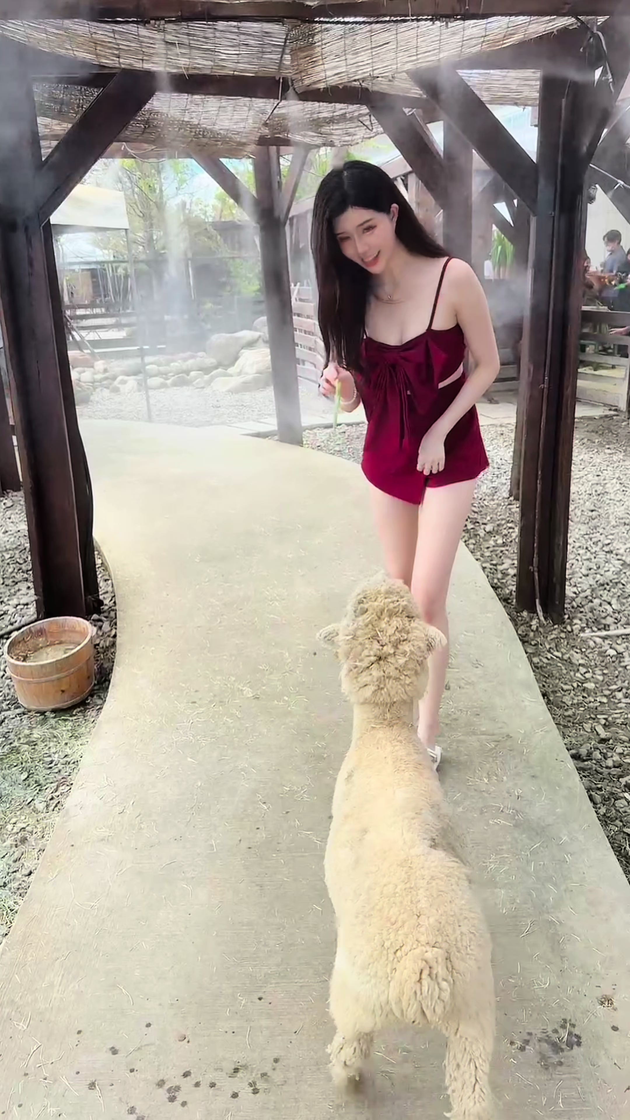 @薇薇兒