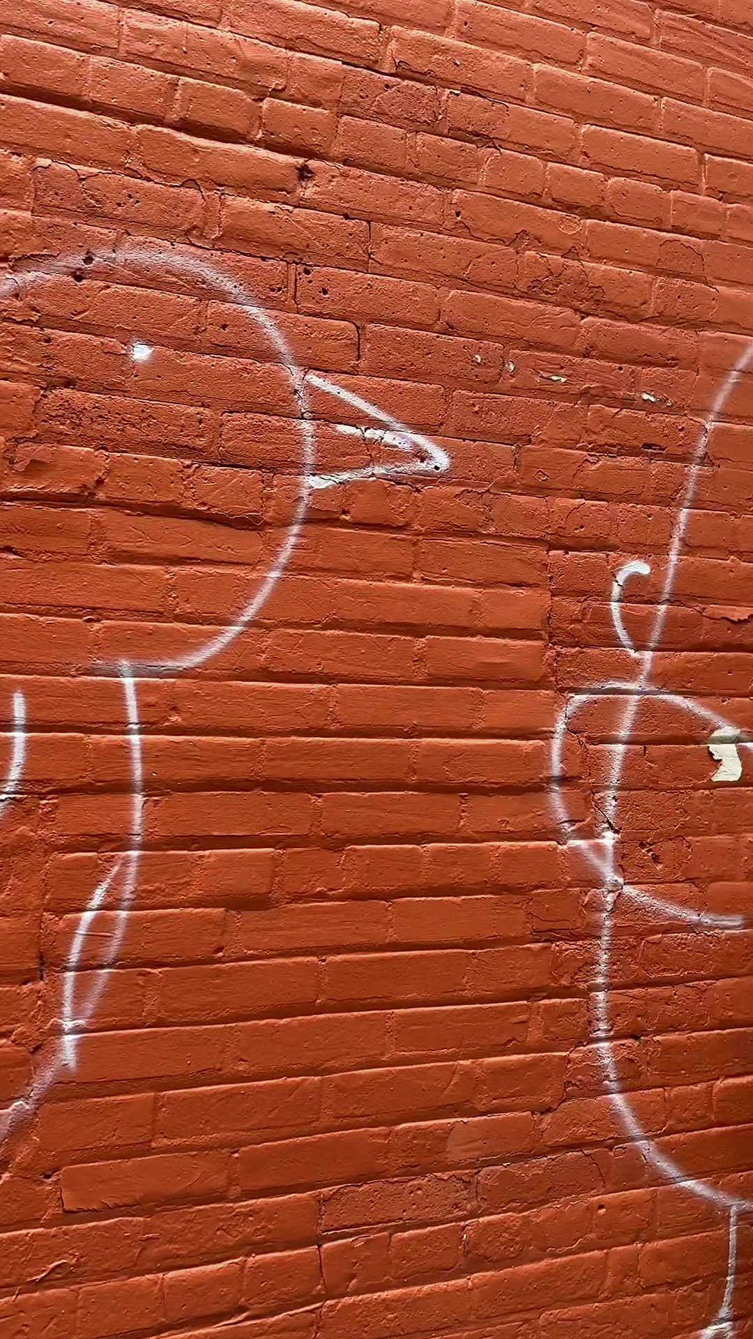 @jolee.jpg