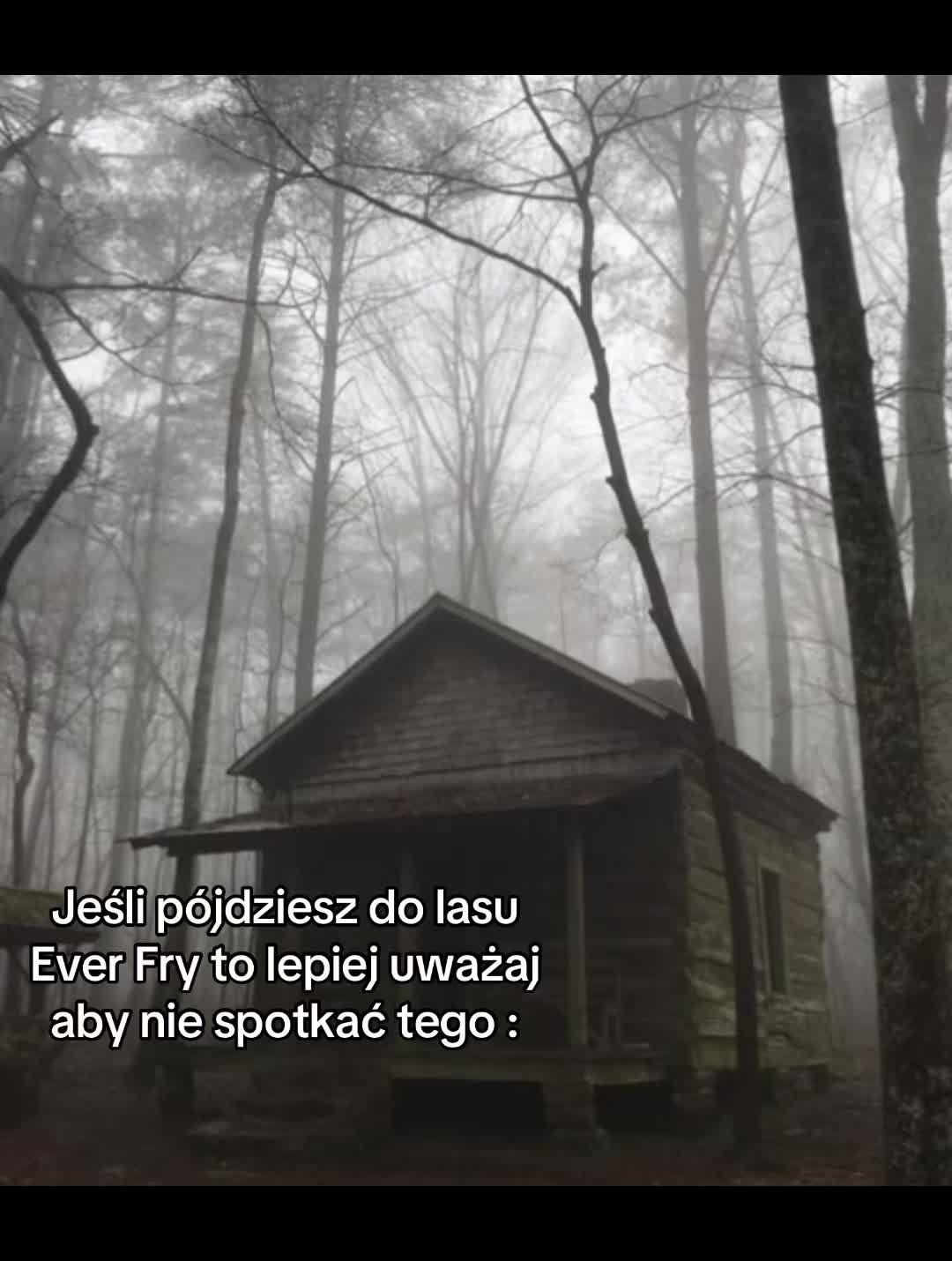 @~×🍏Strażnicy leśnej magii🍏×~
