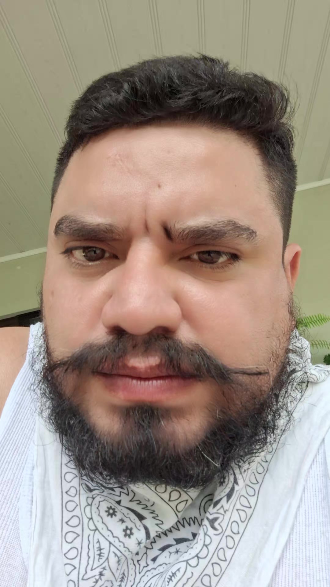 @paniagua yamil
