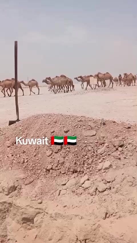 @B♥️A♥️D ♥️A♥️L♥️