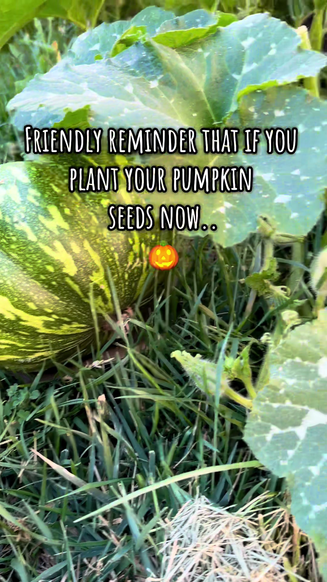 @plantingwithe