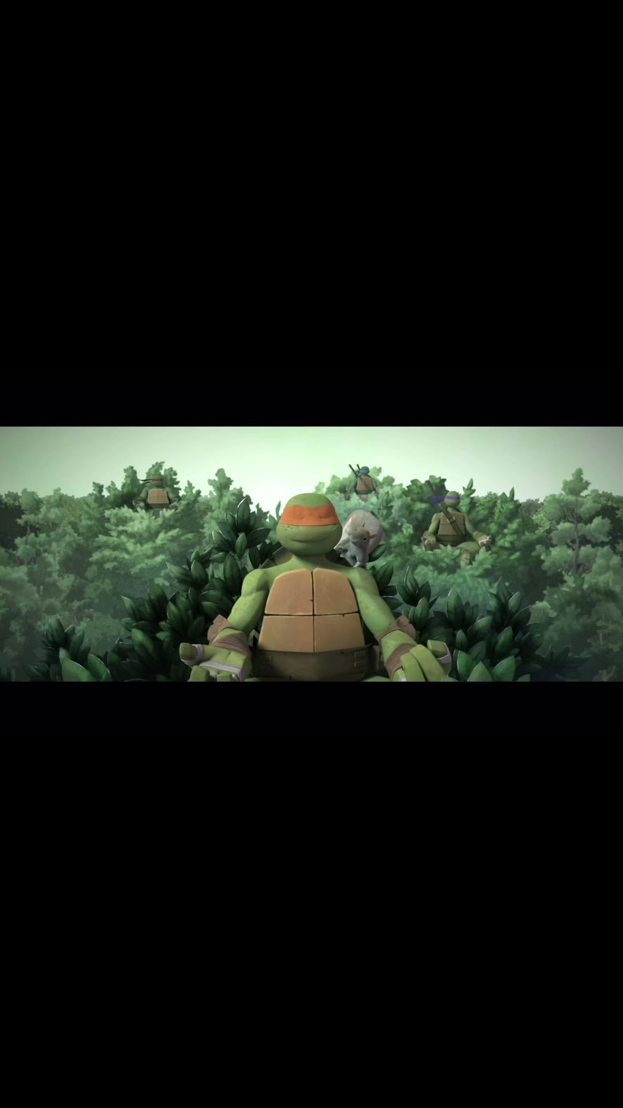 @i_mwturtles