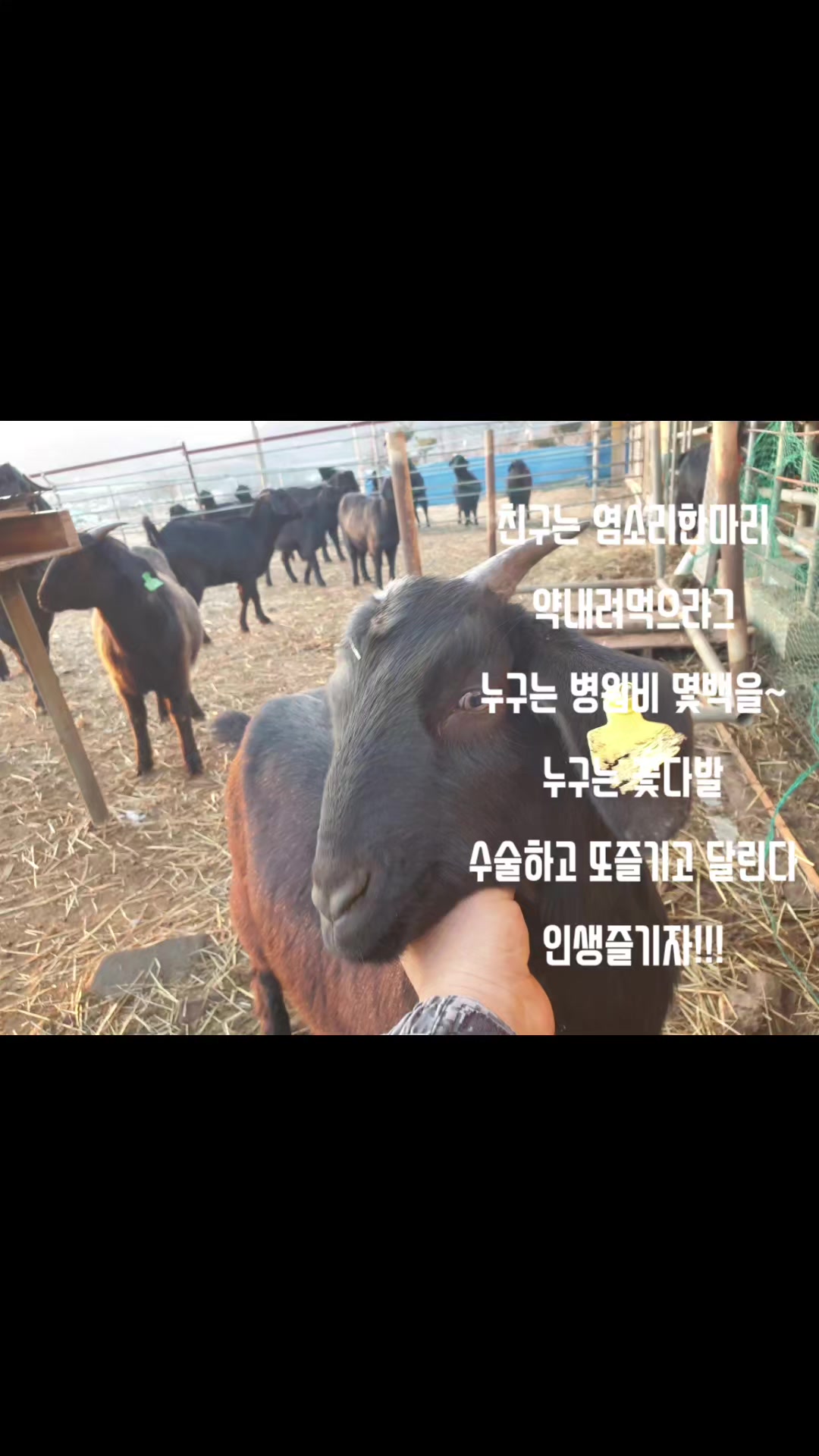 @길위의 셰프~북에서 온장금이