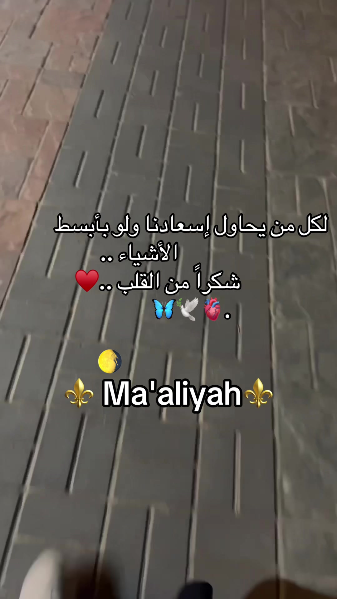 @Ma'aliyah🐆🐆🌕