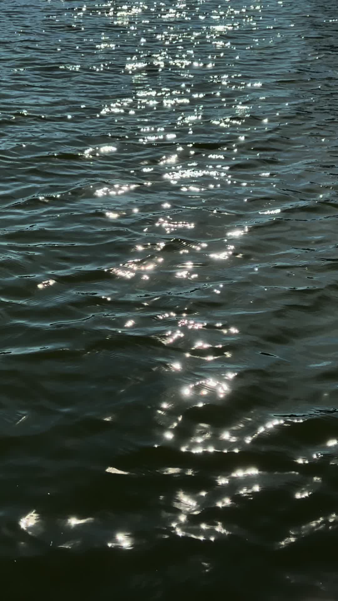 @Zkiii.1145