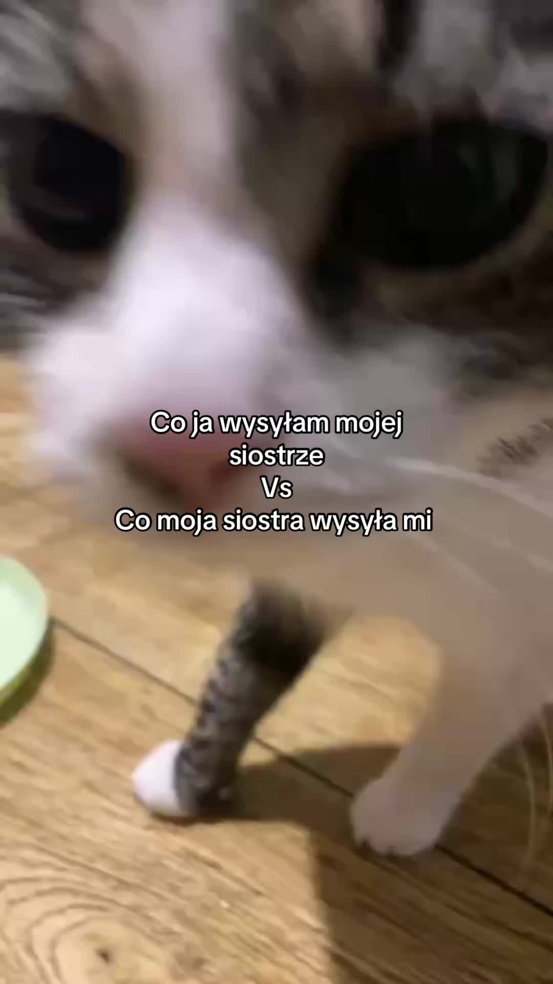 @Sonja
