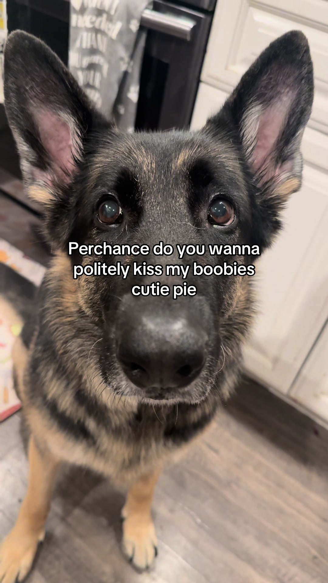 @Bhris