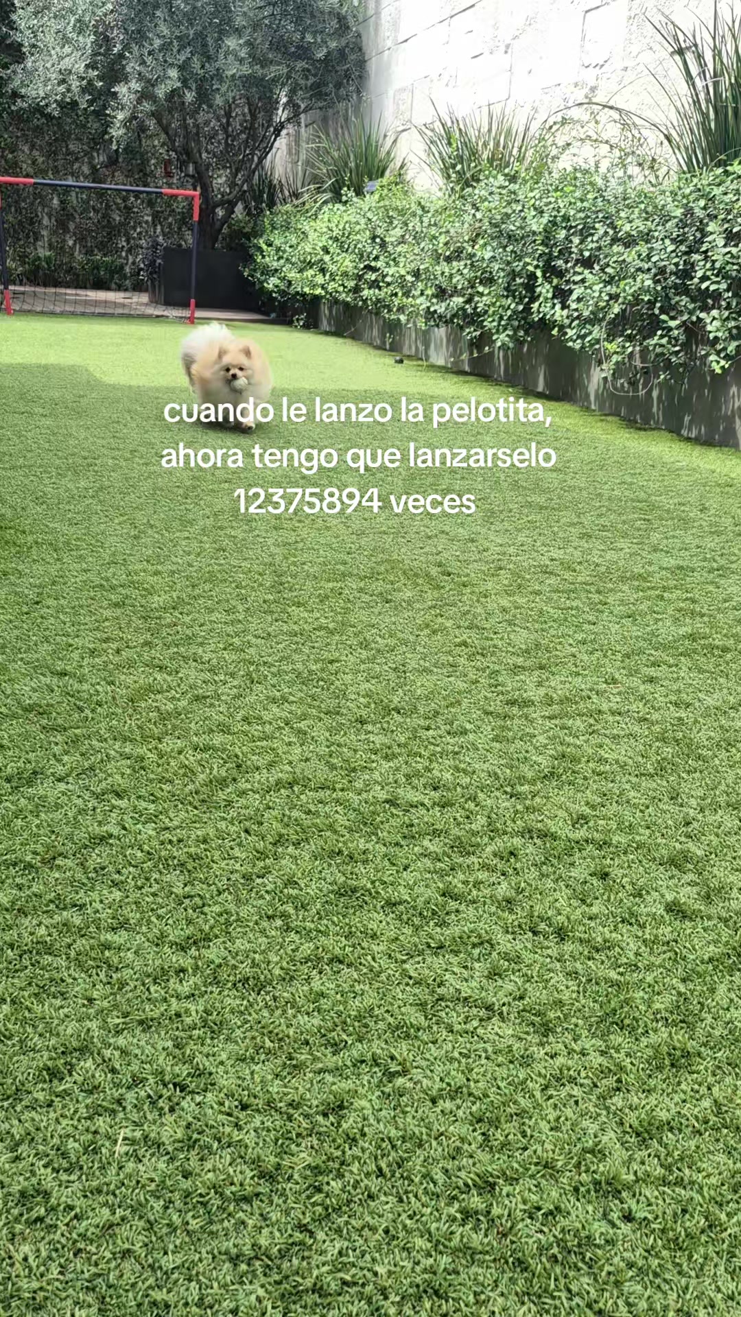 @️ Angélica Fx