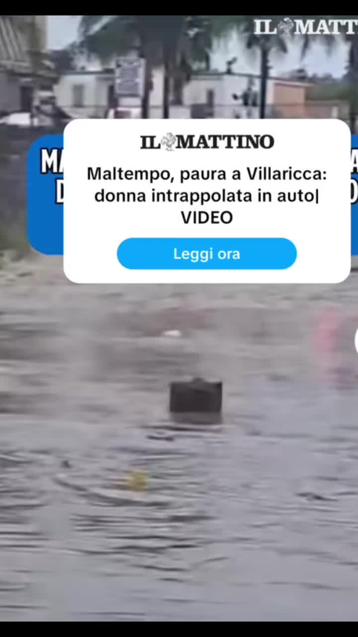 @Cuore Di Leone