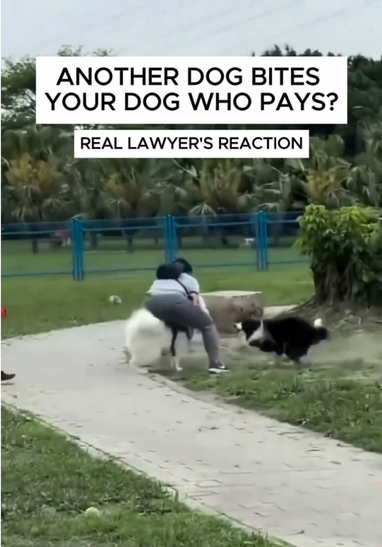 @Attorney Pish